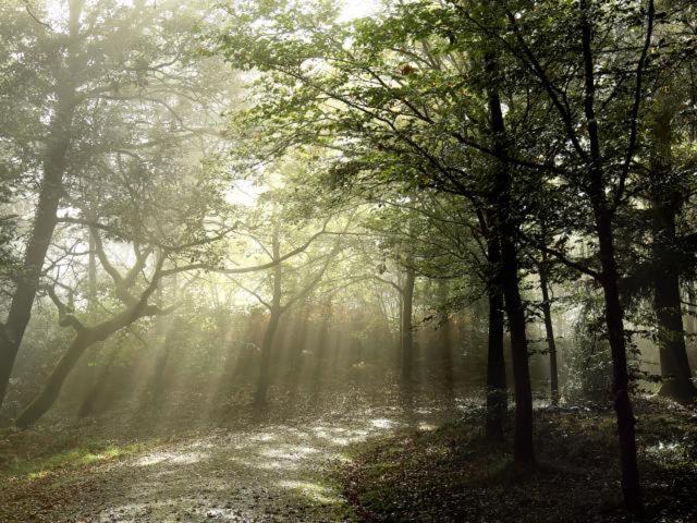 Studio Avec Superbe Vue 5Min A Pied Des Thermes Bagnoles de l'Orne Normandie ภายนอก รูปภาพ